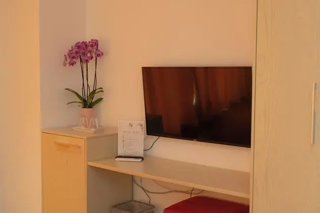Televizyon