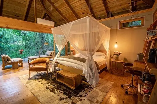 Luxury Tek Büyük Yataklı Oda (Forest)