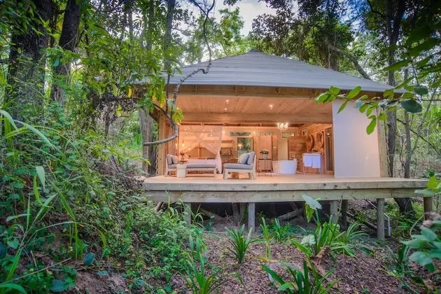 Luxury Tek Büyük Yataklı Oda (Forest)