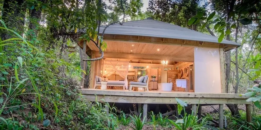 Luxury Tek Büyük Yataklı Oda (Forest)