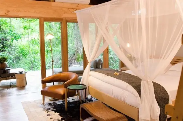 Luxury Tek Büyük Yataklı Oda (Forest)