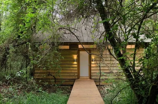 Luxury Tek Büyük Yataklı Oda (Forest)