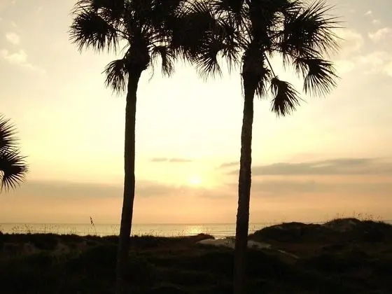 Daire, Birden Çok Yatak, Plaj Manzaralı