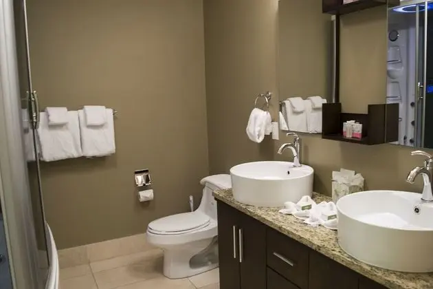 Premium Çatı Katı Süiti (Penthouse), 3 Yatak Odası, Sıcak Su Havuzu