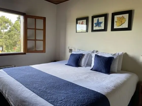 Superior Tek Büyük Yataklı Oda