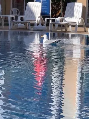 Basic Büyük Yataklı Tek Kişilik Oda