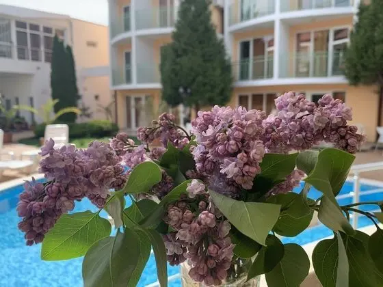 Basic Büyük Yataklı Tek Kişilik Oda