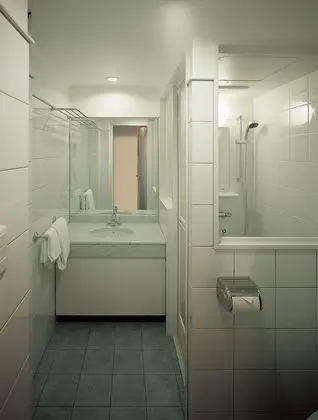 Tek Büyük Yataklı Oda, Sigara İçilebilir (Wide Shower Double Room, Smoking)