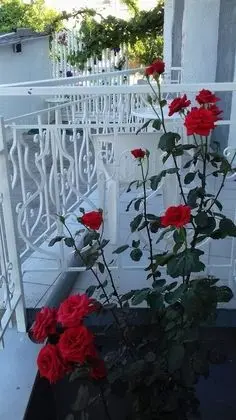 Standard Tek Büyük Yataklı Oda, 1 Çift Kişilik Yatak