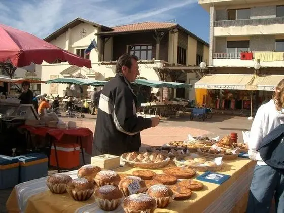 Ev, 1 Yatak Odası