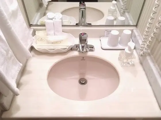 Deluxe İki Ayrı Yataklı Oda, Sigara İçilebilir (Minimum 2 Occupancy)