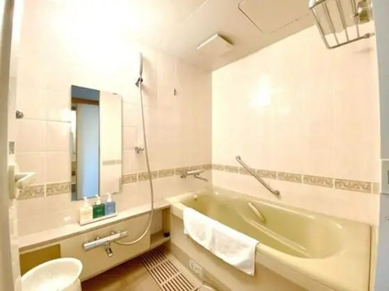 Deluxe İki Ayrı Yataklı Oda, Sigara İçilebilir (Minimum 2 Occupancy)