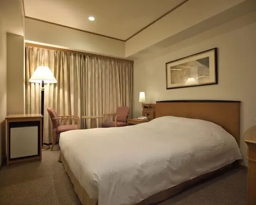 Standard Tek Büyük Yataklı Oda, Sigara İçilebilir (For 2 Occupancy)