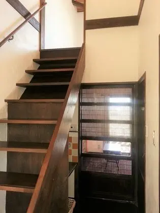 Junior Kır Evi