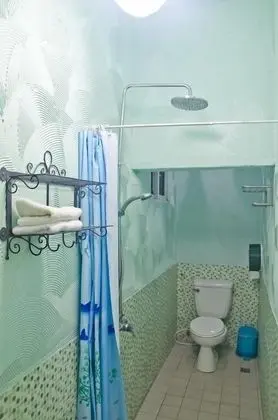 Superior Tek Büyük Yataklı Oda (BALI)
