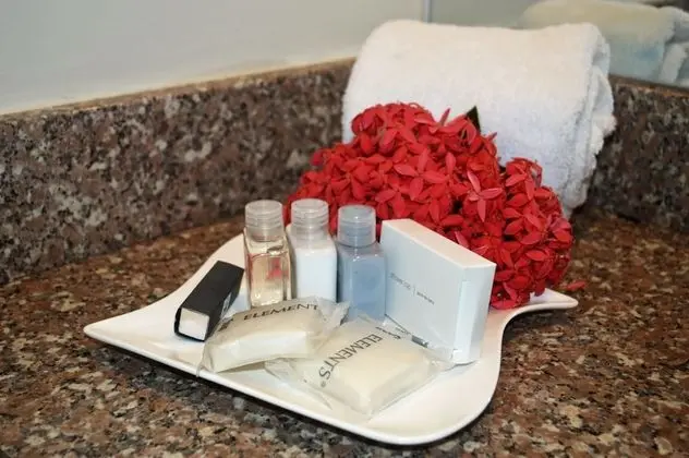 Premium Süit, 1 En Büyük (King) Boy Yatak, Havuz Manzaralı