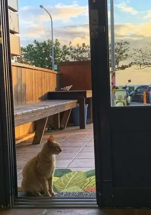 Ev
