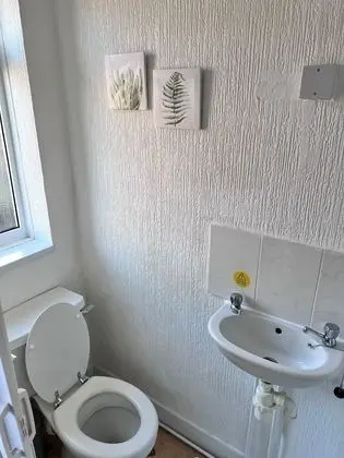 Banyo