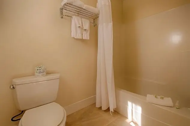 Loft Suite