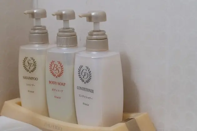 Deluxe Tek Büyük Yataklı Oda, Sigara İçilmez