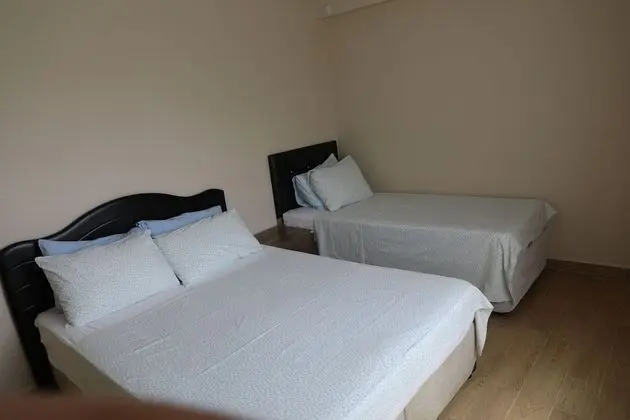 Basic Apartment