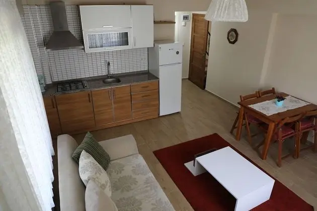 Basic Apartment