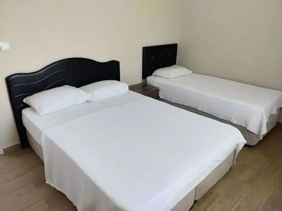 Basic Apartment
