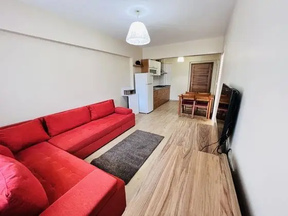 Basic Apartment