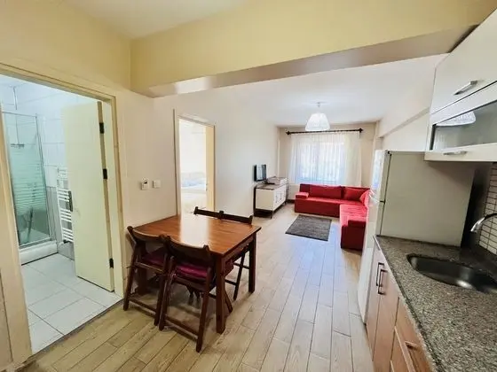 Basic Apartment