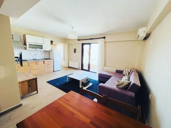 Basic Apartment