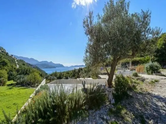 Apart Daire (One Bedroom Apartment with Terrace)