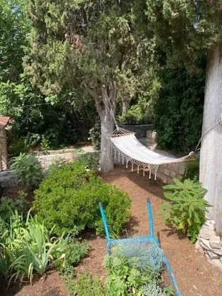 Ev (Sunce - relaxing & quiet - H(2+2))