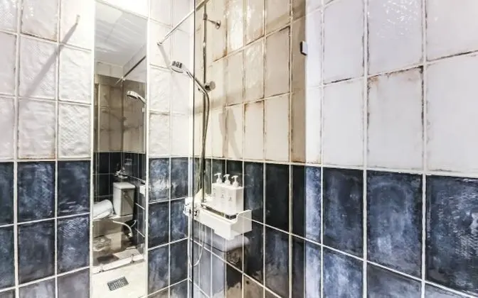 Oda (VIP (Netflix Available Random Allocat)