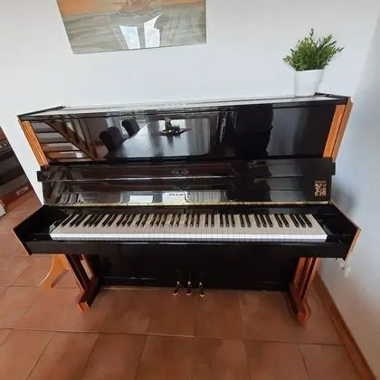 Classic Apart Daire (Haydn)