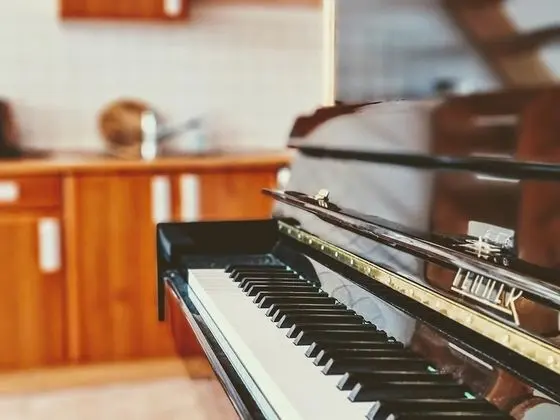 Classic Apart Daire (Haydn)