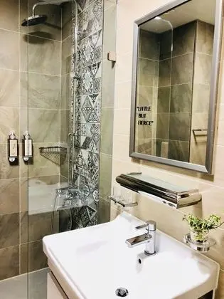Standard Tek Büyük Yataklı Oda (301)