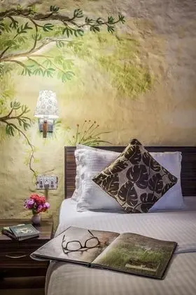 Deluxe Kır Evi (AC)