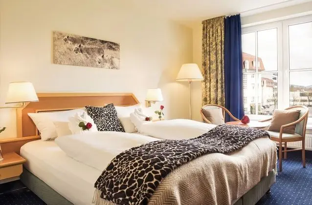 Comfort Tek Büyük Yataklı Oda, 1 Çift Kişilik Yatak
