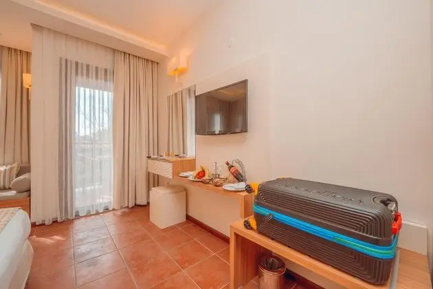 Large Triple Room