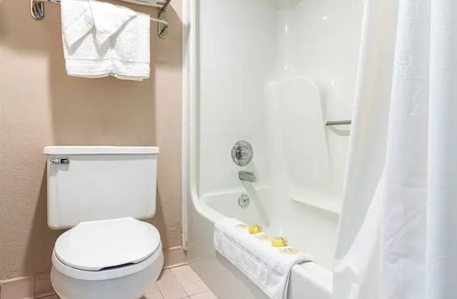 Deluxe Oda, 2 Çift Kişilik Yatak, Sigara İçilmez, Küçük Mutfak