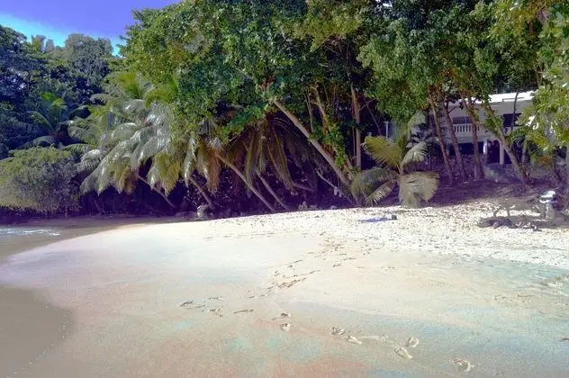 Exclusive Villa