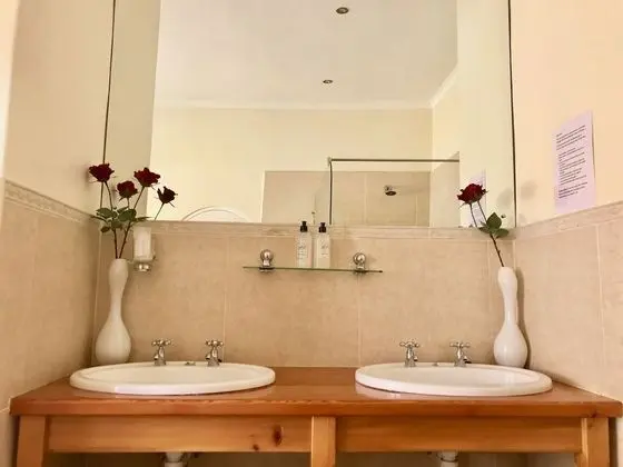 Luxury Oda (with Bath and Shower)