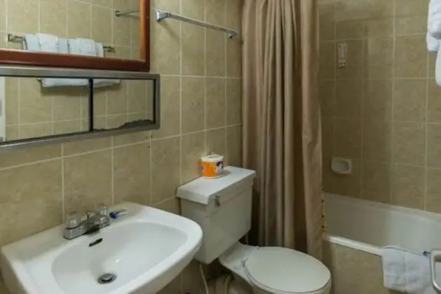 Comfort Stüdyo, 1 Büyük (Queen) Boy Yatak, Engellilere Uygun