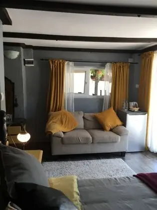 Superior Tek Büyük Yataklı Oda