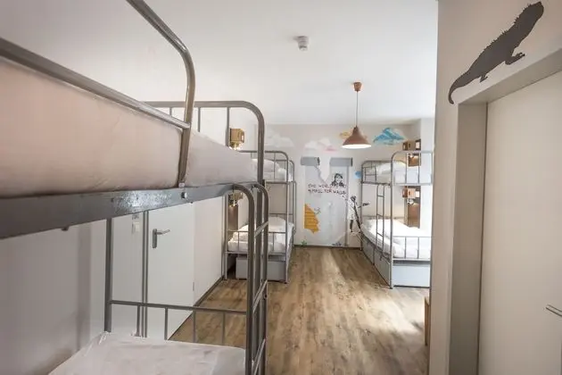 Ortak Ranzalı Oda (Mixed Dorm - 6 Beds)