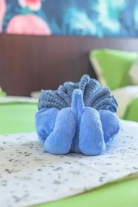 Deluxe İki Ayrı Yataklı Oda