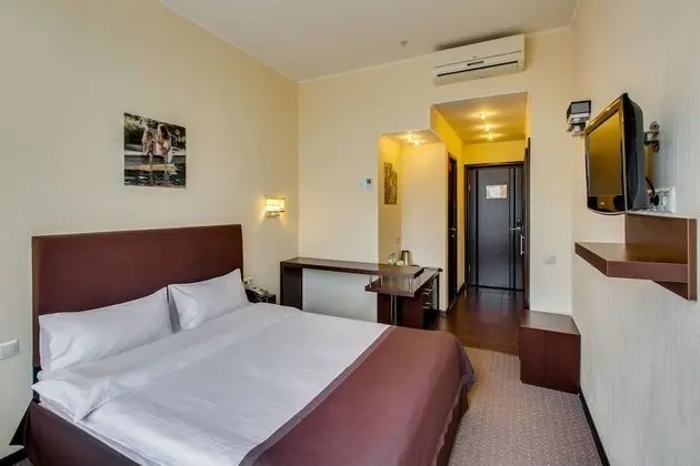 Standard Tek Büyük Yataklı Oda, 1 Çift Kişilik Yatak