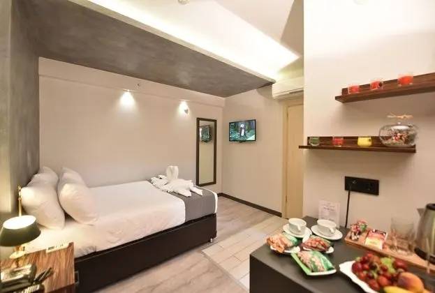 Deluxe Büyük Yataklı Tek Kişilik Oda