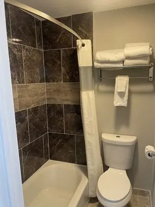 Deluxe Tek Büyük Yataklı Oda, 1 En Büyük (King) Boy Yatak