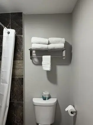 Deluxe Tek Büyük Yataklı Oda, 1 En Büyük (King) Boy Yatak